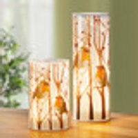 LED-Windlicht mit Rotkehlchen-Motiv 2er-Set Weiss-Braun weiss/braun