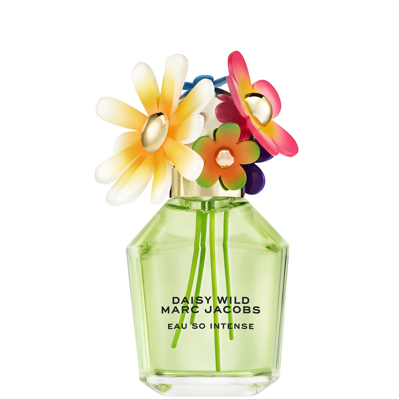Marc Jacobs Daisy Wild Intense Eau de Parfum Spray 100ml von Marc Jacobs