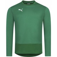PUMA teamGOAL Herren Training Sweatshirt 656478-05