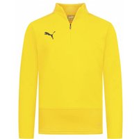 PUMA teamGOAL Kinder 1/4-Zip Sweatshirt 656567-07