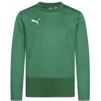 PUMA teamGOAL Kinder Training Sweatshirt 656568-05