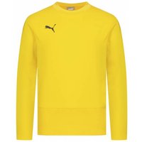 PUMA teamGOAL Kinder Training Sweatshirt 656568-07