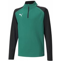 PUMA teamLIGA 1/4 Zip Kinder Sweatshirt 657237-05