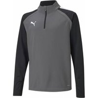 PUMA teamLIGA 1/4 Zip Kinder Sweatshirt 657237-13