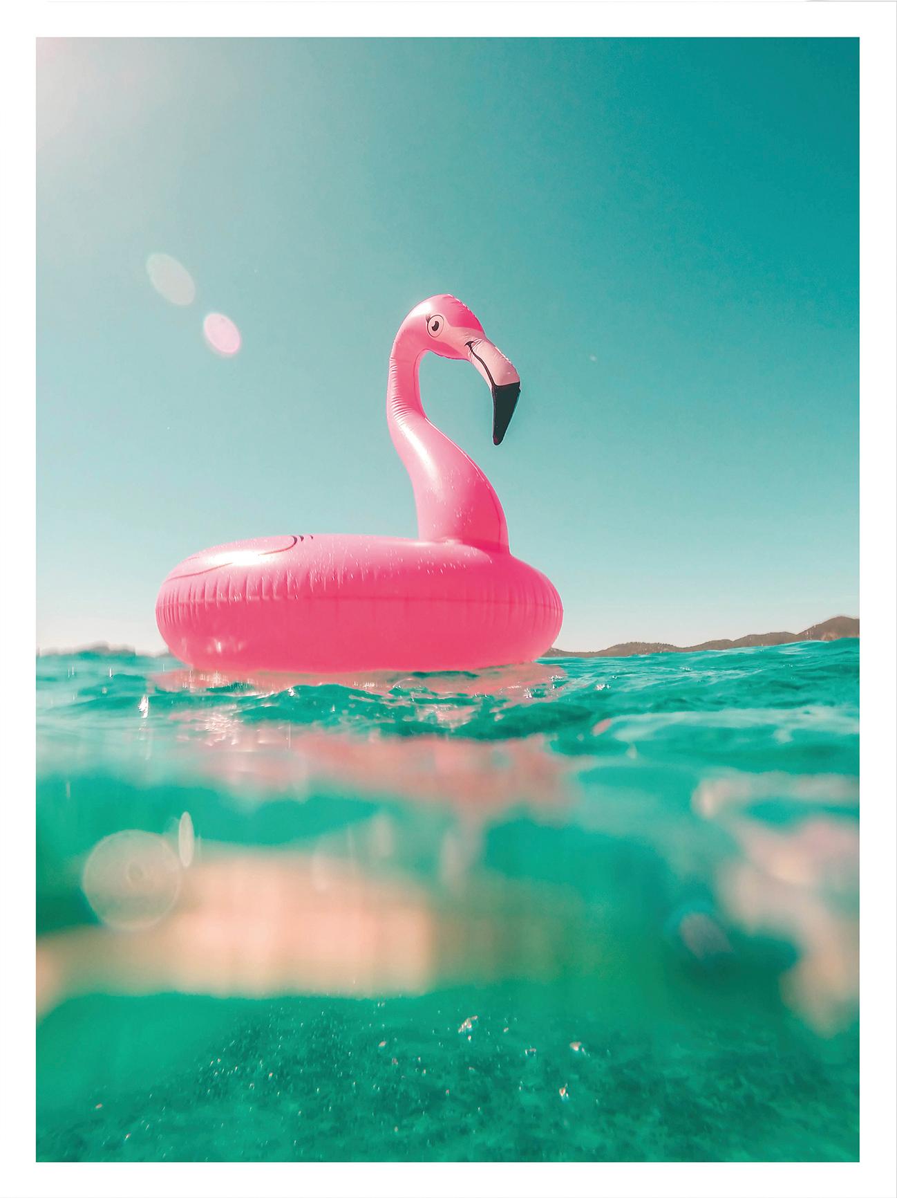 Wall-Art Poster "Flamingo macht Urlaub am Meer" von Wall-Art