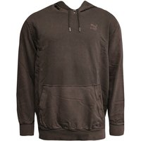 Puma -Logo Langarm Pullover Dunkelbraun Distressed Herren Hoodie 575306 02