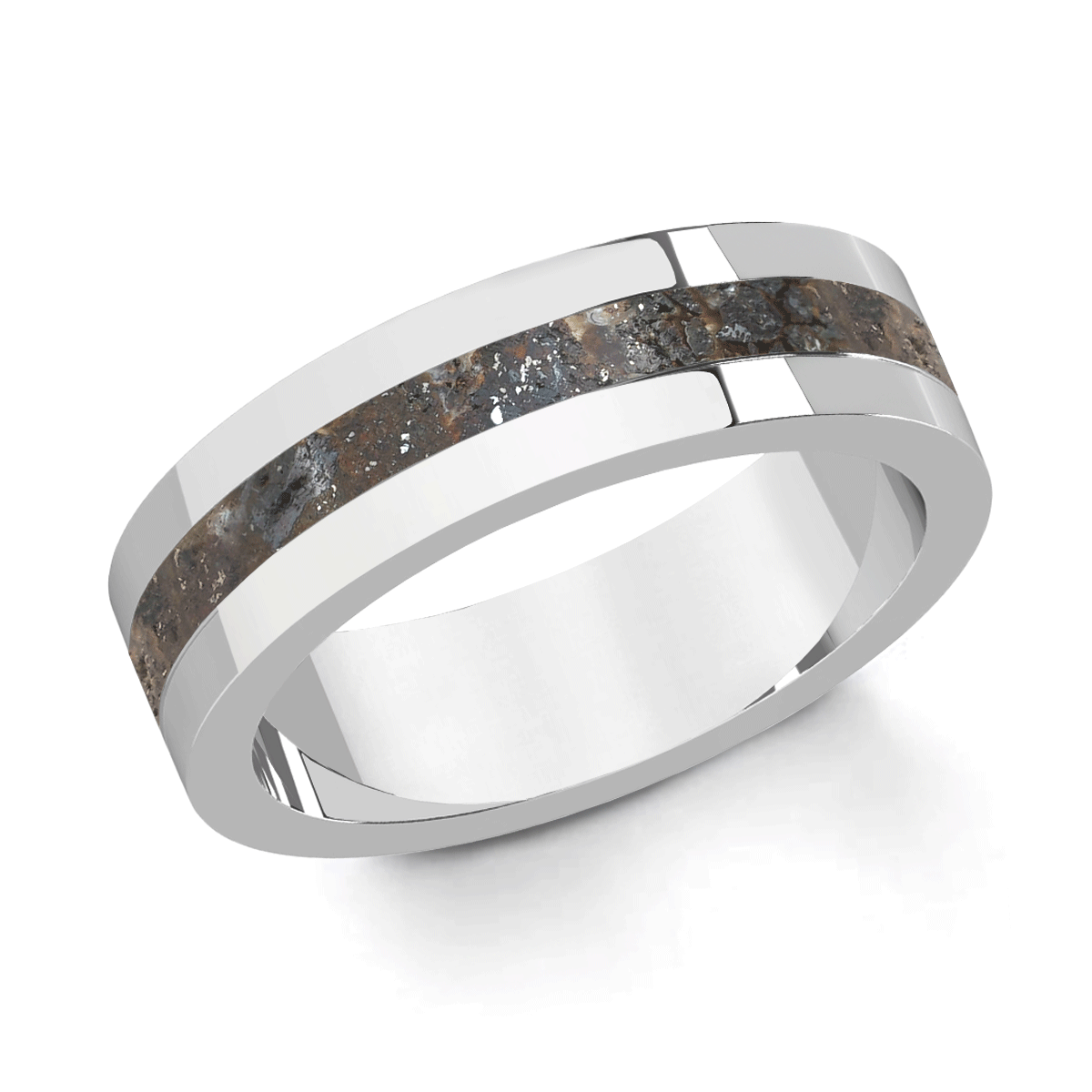 Signum - Meteorite Ring Herren Silber