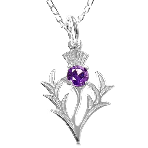 Alexander Castle 925er Sterlingsilber-Halskette mit schottischer Distel und echtem Amethyst-Anhänger, 20 mm x 16 mm, mit 18-Zoll-Silberkette und Schmuck-Geschenkbox – Schottische Geschenke für Frauen Alexander Castle 925er Sterlingsilber-Halskette mit schottischer Distel und echtem Amethyst-Anhänger, 20 mm x 16 mm, mit 18-Zoll-Silberkette und Schmuck-Geschenkbox – Schottische Geschenke für Frauen von Alexander Castle