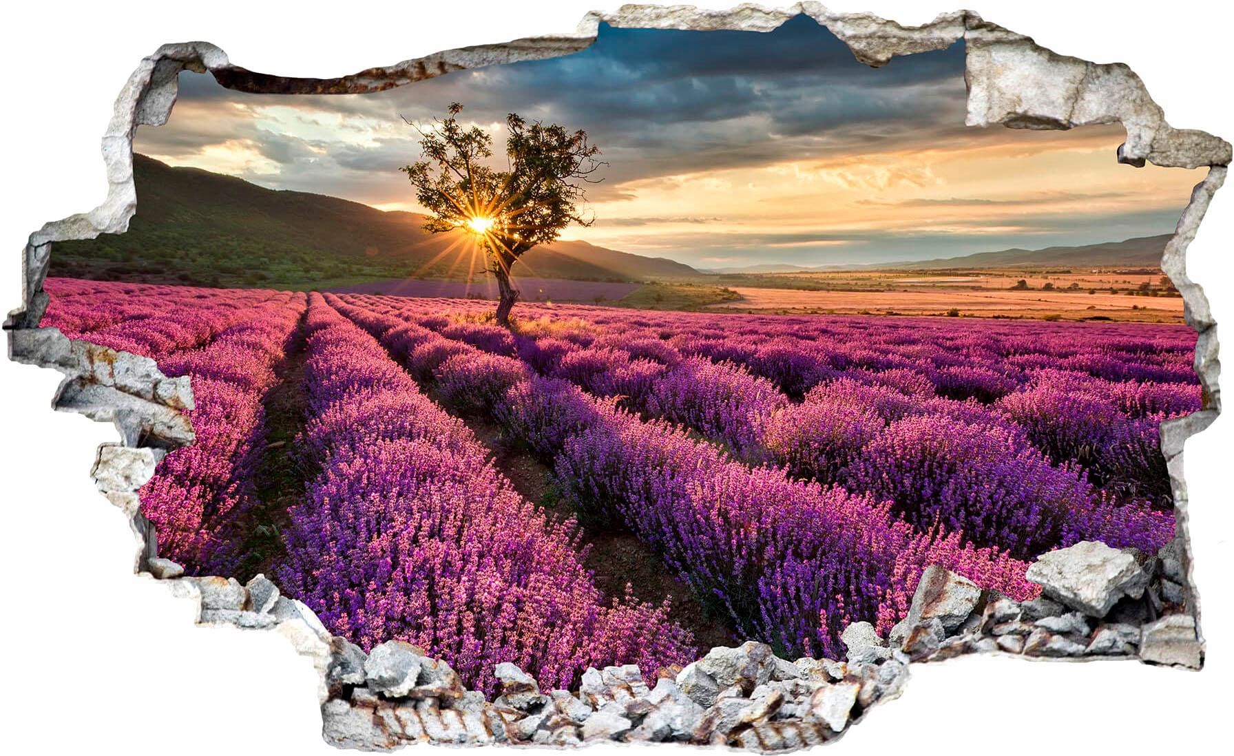 Wall-Art Wandtattoo "Lavendel in der Provence" von Wall-Art