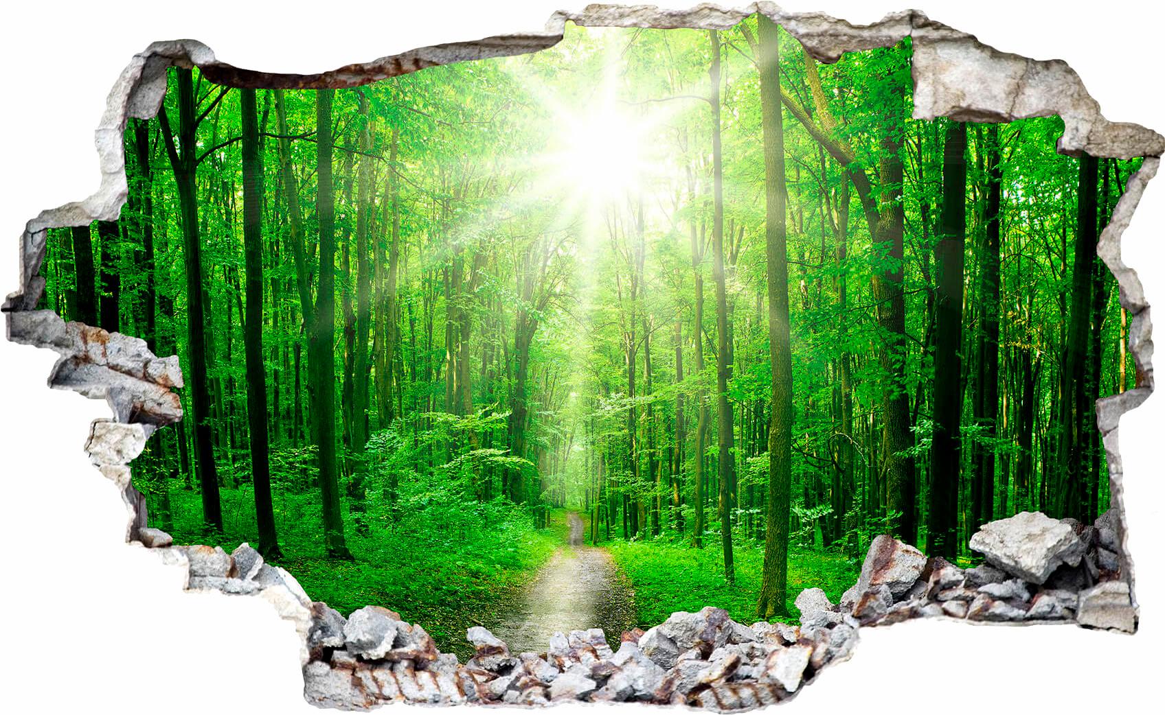 Wall-Art Wandtattoo "Sunny Forest grüne Natur" von Wall-Art