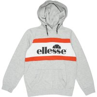 ellesse Jungen Hoodies & Sweater, grau, Gr. 164 ellesse Jungen Hoodies & Sweater, grau, Gr. 164