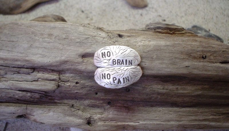 No Brain/Pain" Stick Pin Brosche in Silber von klunkerschmiede