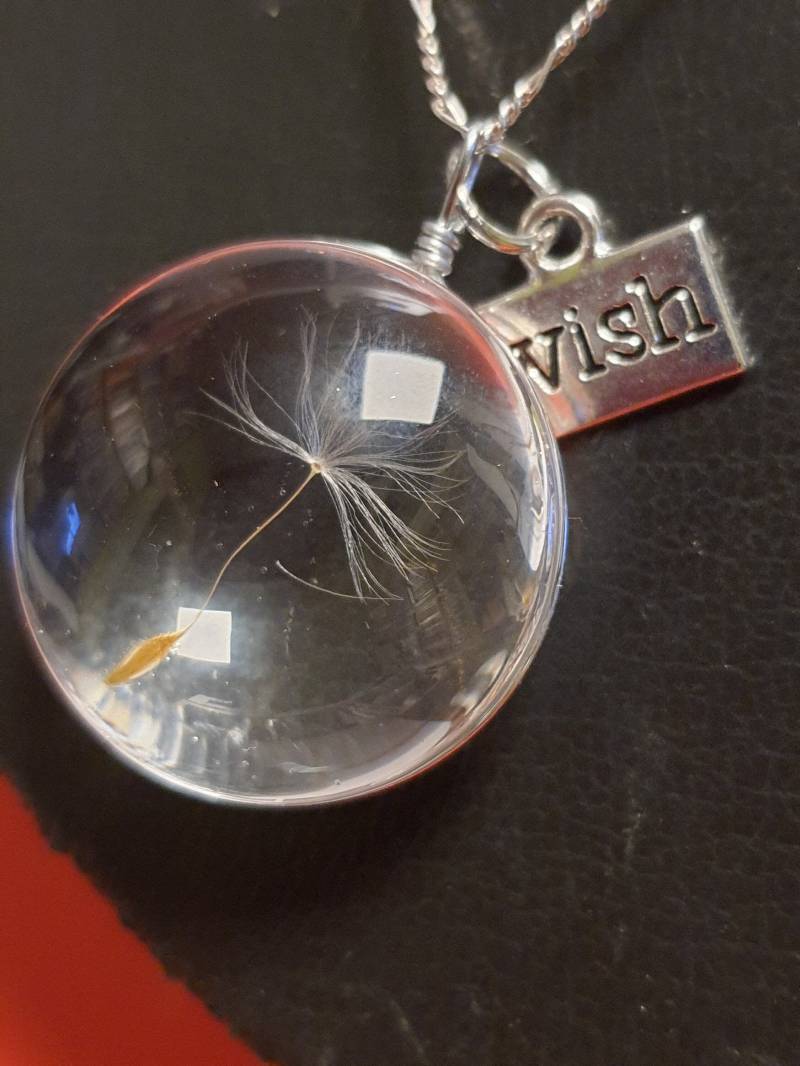 Damen Halskette Mit Pusteblume Anhänger Echter Löwenzahn Naturschmuck 925 Sterling Silber Plus Kleiner Wish von kreativNRW