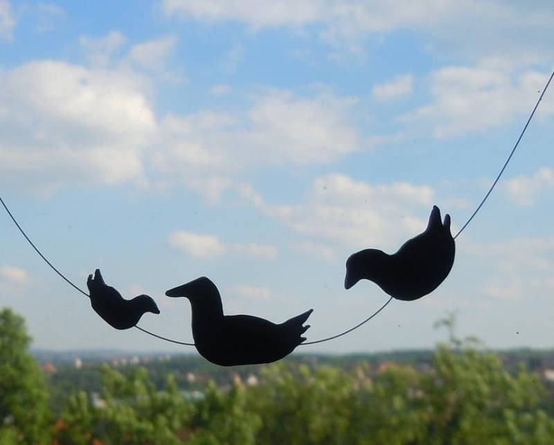 Ententeich von lapinPetite