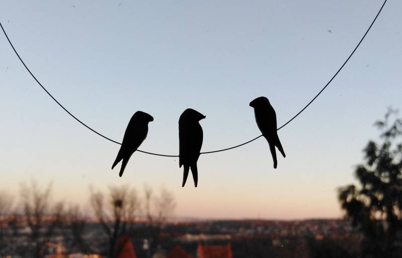 Frühling Am Morgen-Klein Frühling Am Morgen-Klein von lapinPetite