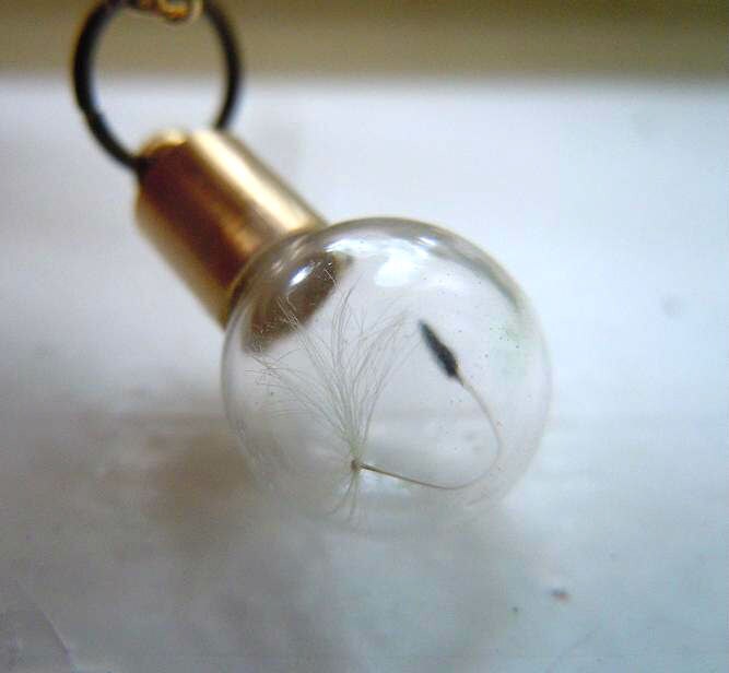 Gefangener Traum von lapinPetite