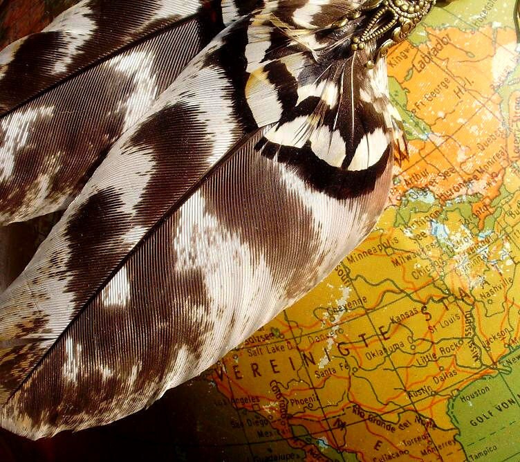 Ich Fliege Auf Der Ganzen Welt von lapinPetite