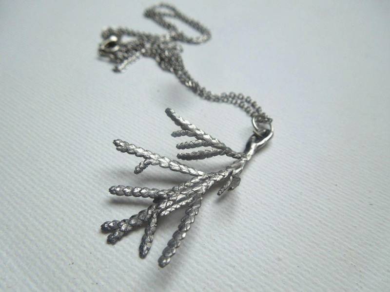 Thuja Occidentalis von lapinPetite