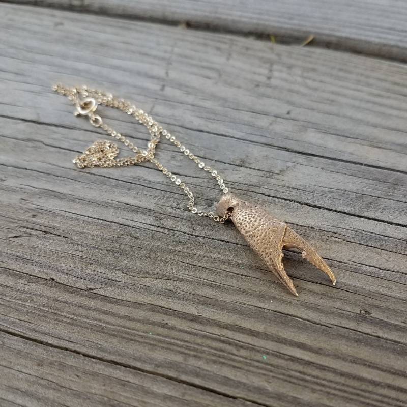 Krallen Anhänger von laurajanesjewelry