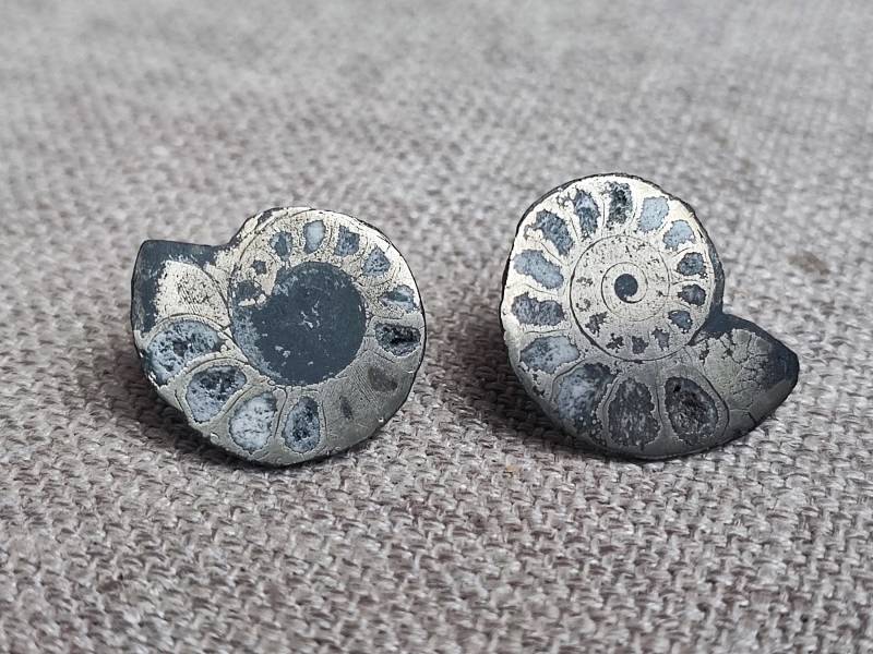 Ohrstecker Ammoniten Pyritisiert Paar Silber 925 Unikat Fossil Cleoniceras Kreide Marokko Pyrit von leguan4u