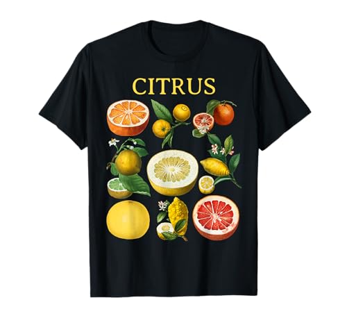 Zitrusfrüchte Zitrone Herren Damen Lustige Zitronen Zitrusfrüchte T-Shirt Zitrusfrüchte Zitrone Herren Damen Lustige Zitronen Zitrusfrüchte T-Shirt von lemons Citrus Fruit