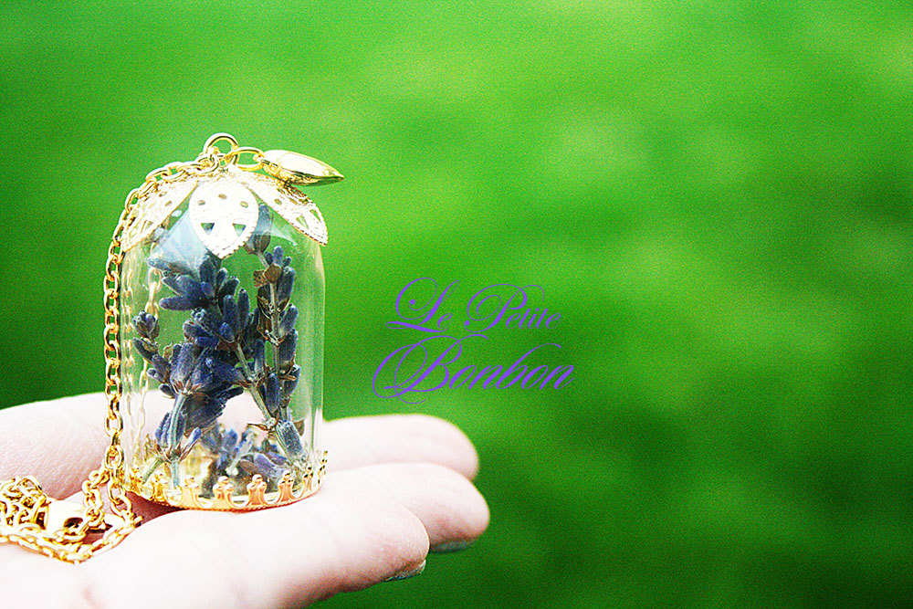 Echte Getrocknete Lavendel Blume Im Terrarium Garten Glas-Kapsel-Anhänger von lepetitebonbon