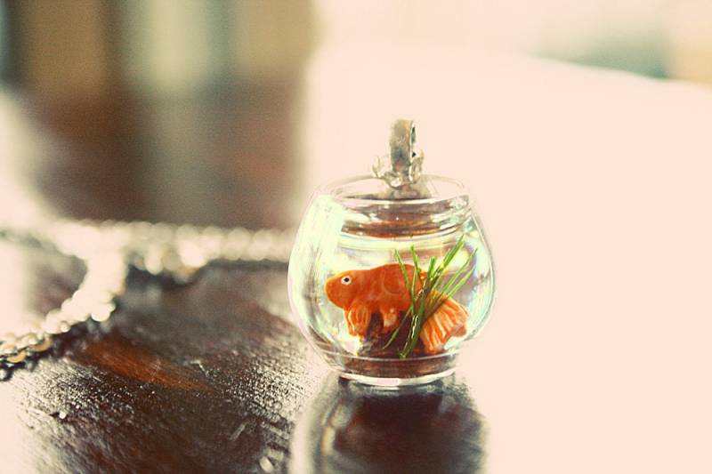 Goldfisch Halskette in Glasschale von lepetitebonbon