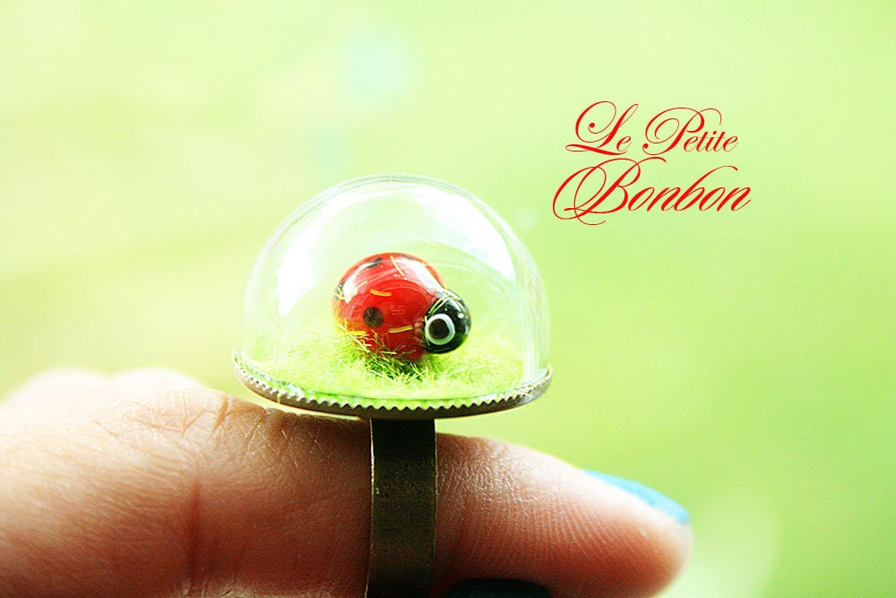 Kleine Marienkäfer Spielt Auf Dem Gras-Ring von lepetitebonbon