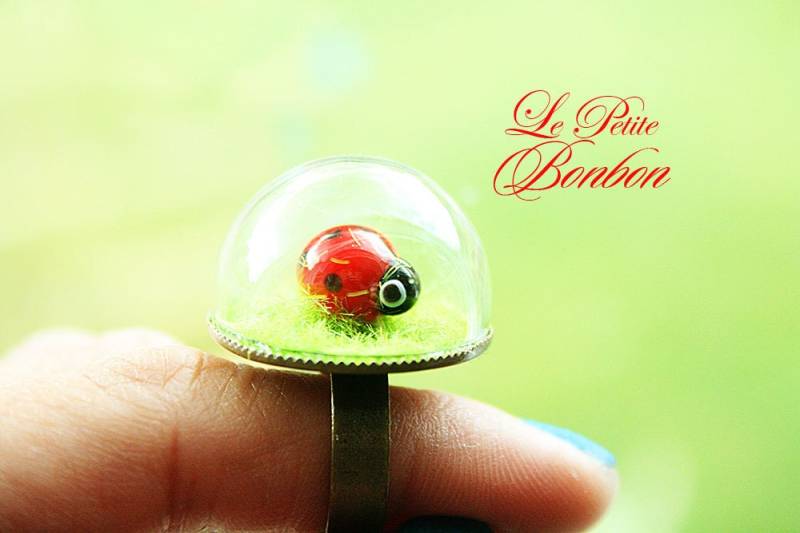 Kleine Marienkäfer Spielt Auf Dem Gras-Ring Kleine Marienkäfer Spielt Auf Dem Gras-Ring von lepetitebonbon