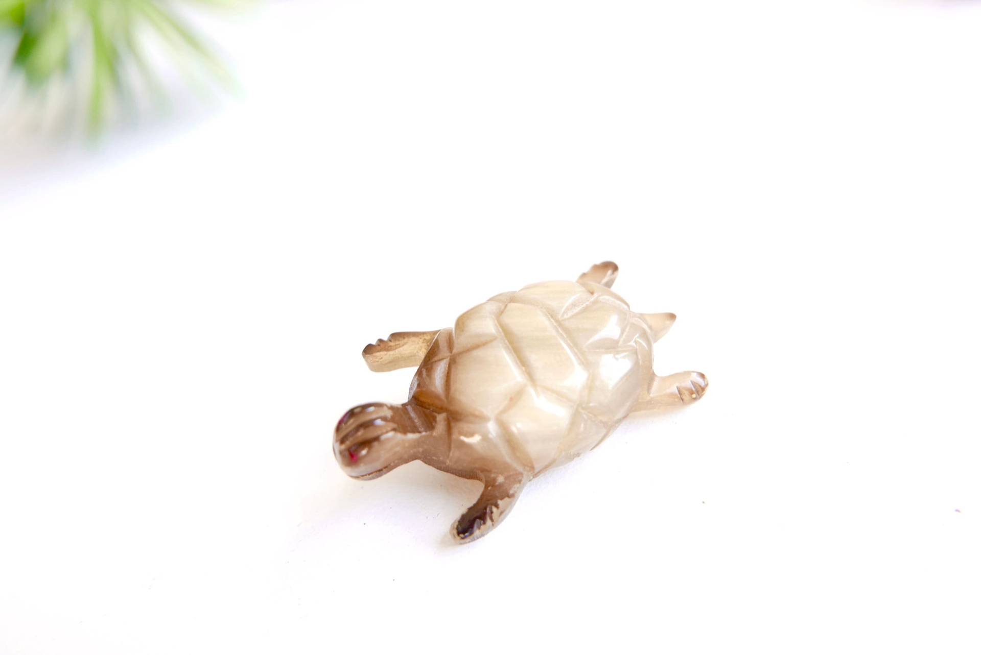 "Turtle" Horn-Brosche, 60Er Jahre/Vintage, Tier, Tiki, Figur, Schmuck "Turtle" Horn-Brosche, 60Er Jahre/Vintage, Tier, Tiki, Figur, Schmuck von lestrictmaximum