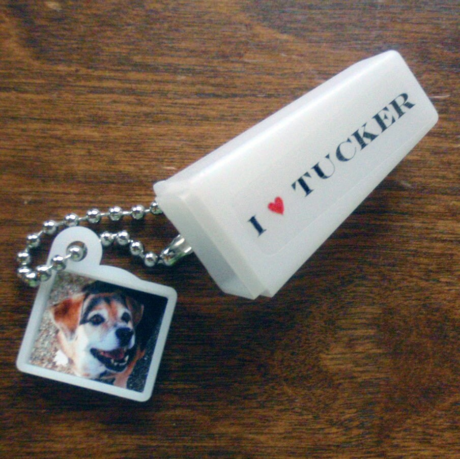 Haustier-Andenken. Personalisiertes Foto & Wörter. Schlüsselanhänger Sucher. Dabei Haustier-Andenken. Personalisiertes Foto & Wörter. Schlüsselanhänger Sucher. Dabei von lilecreations
