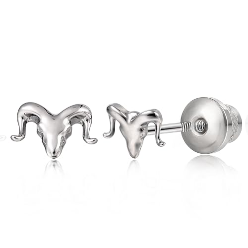 Limerencia Medizinische Titan Ohrringe mit Schraubverschluss, G23 Hypoallergen Gesundheitsstecker Ohrstecker, Nickelfreie Ohrringe für Damen und Mädchen von limerencia