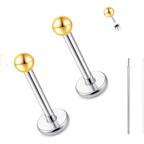 limerencia Titan Fadenlose Flache Rücken Ohrring Stud, 20G Press Fit Titan Push Pop in Knorpel Tragus Labret Lippe Medusa Muschel Körper Piercing Schmuck Hypoallergen für Damen Herren (2MM Goldene) von limerencia