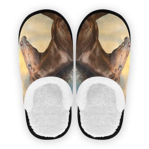 linomo Tier Pferd Laufen Hausschuhe für Frauen Männer Kinder, Frauen Hausschuhe Hausschuhe Hausschuhe Hausschuhe Schlafzimmer Reiseschuh von linomo