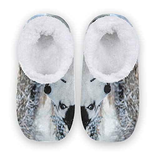 linomo Tier Sibirischer Husky Hausschuhe für Unisex Damen Männer Winter Hausschuhe Wärme Drinnen Hausschuhe Schlafzimmer Socken Schuh von linomo