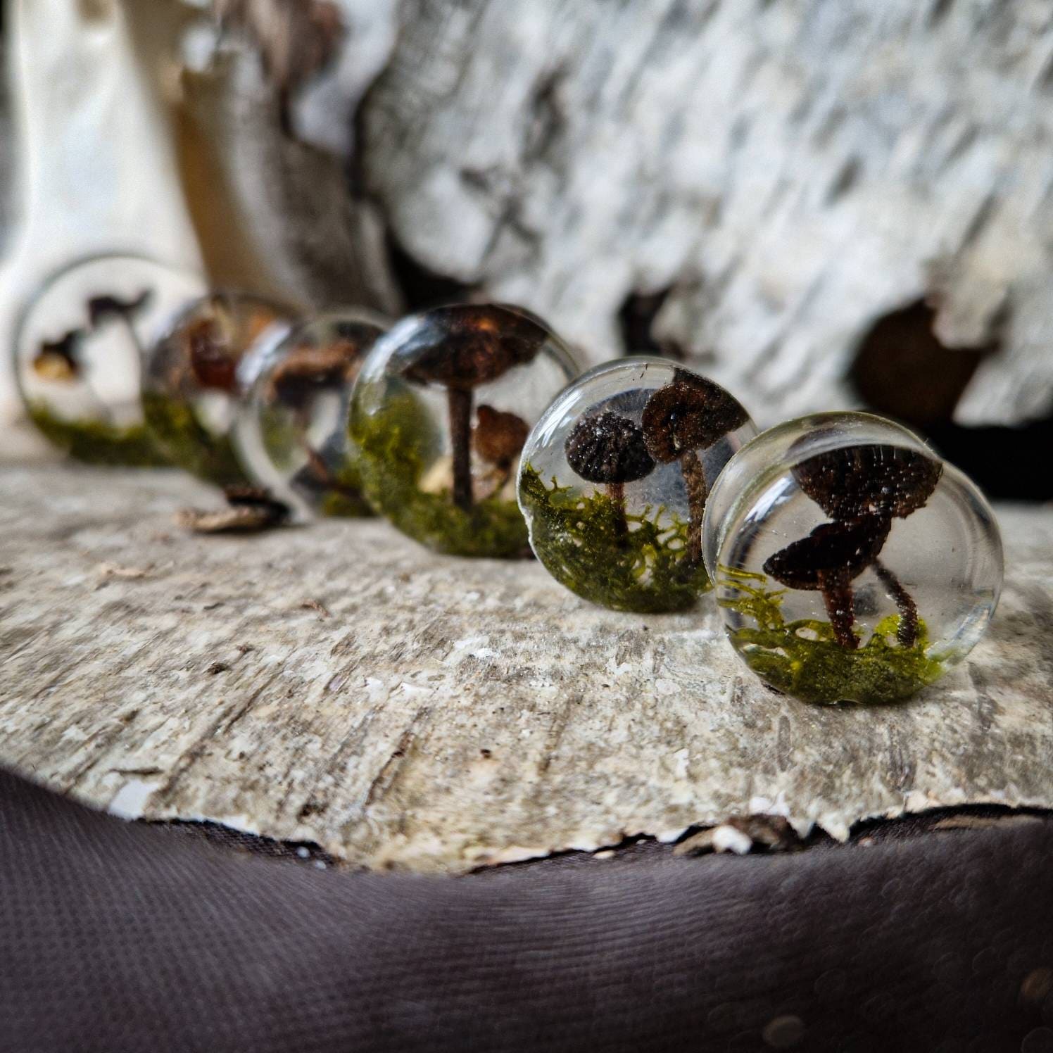 Plugs Mit Echten Pilzen Und Moos Plugs Mit Echten Pilzen Und Moos von littlehiddentrinkets