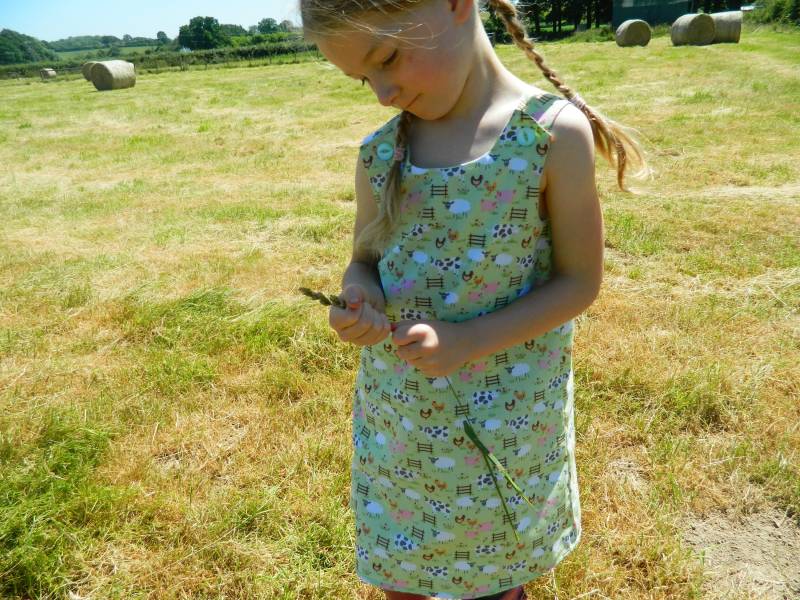 Mädchen Sommer Bauernhof Kuh Schaf Schwein Kleid Grün Alter 2-3 Jahre von littleimaginationsuk