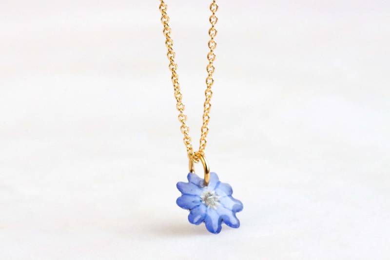 Einzigartige Vergissmeinnicht Blumen Anhänger Halskette, Echte Lila Blume Anhänger, Natur Inspiriert Harz Unvergessliches Geschenk, Blumenschmuck Einzigartige Vergissmeinnicht Blumen Anhänger Halskette, Echte Lila Blume Anhänger, Natur Inspiriert Harz Unvergessliches Geschenk, Blumenschmuck von livinlovin