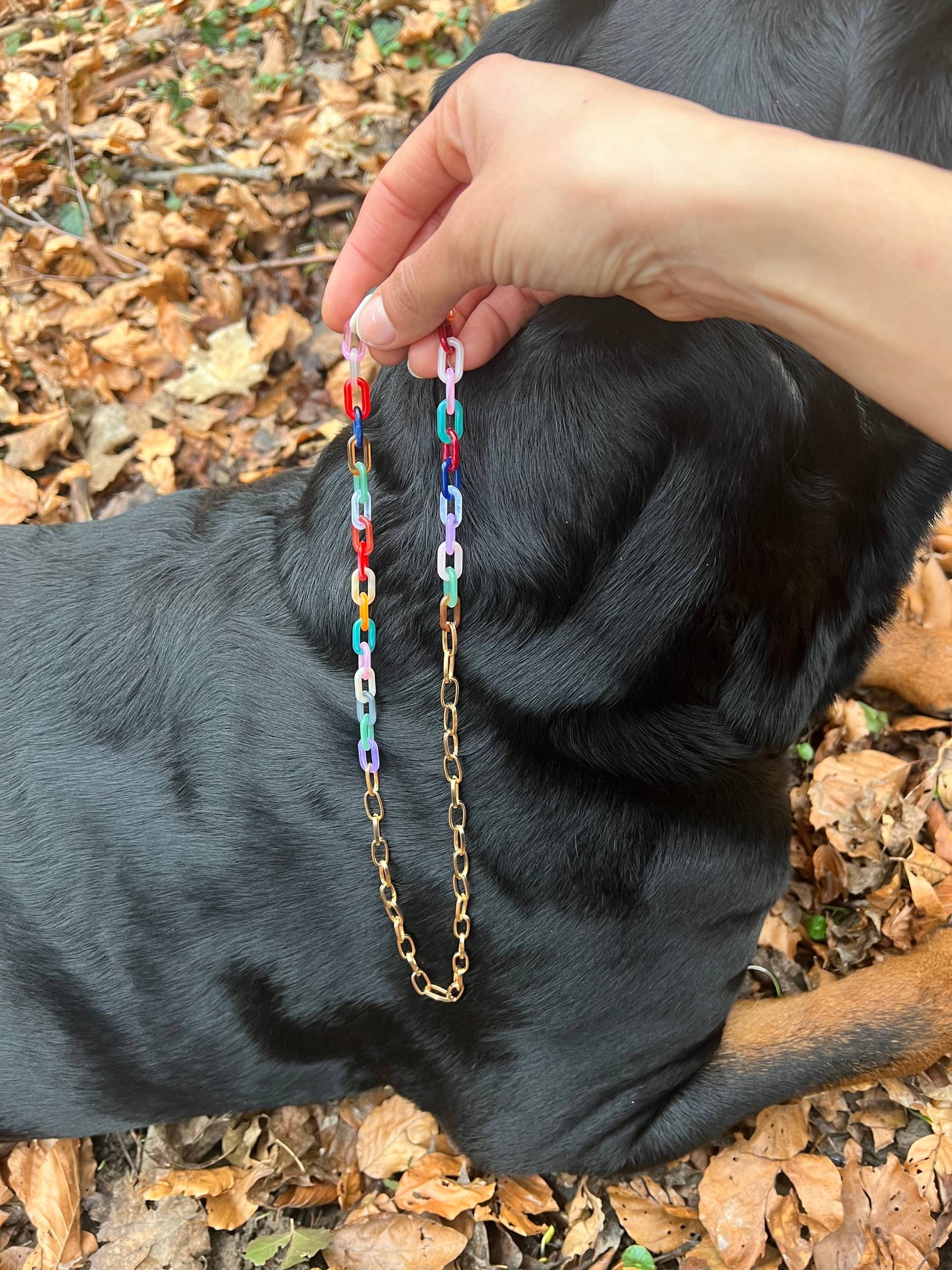 Haustierhalsband von lookatmecheri
