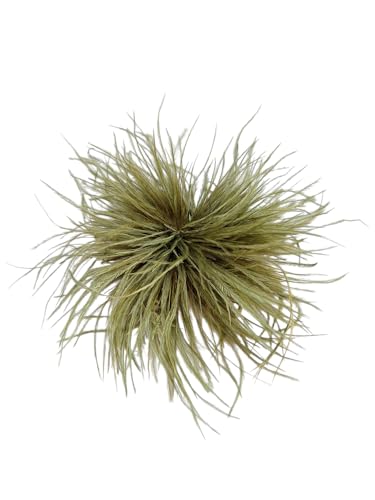 Brosche, Anstecknadel, Klammer, Haarklammer, Blume, Straußenfedern, Strauß, Feder, Stoff, Oliv von lordies