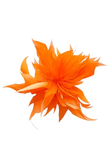 Brosche Anstecknadel Blume Feder Kleidung Geburtstag Geschenk (Orange) von lordies