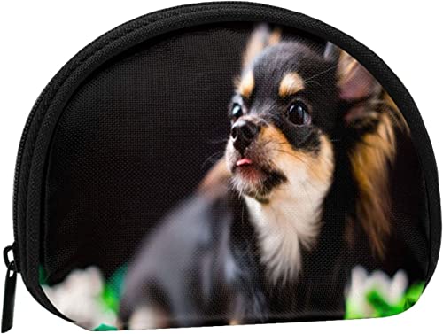 Chihuahua-Hund niedlich, Geldbörse, Muschel-Make-up-Tasche, Damen-Aufbewahrungstasche, kleine Geldbörse, Muschel-Wechseltasche von losolese