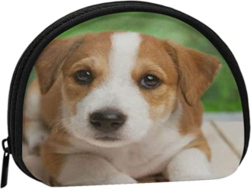 Jack-Russell-Terrier-Welpe, Geldbörse, Muschel-Make-up-Tasche, Damen-Aufbewahrungstasche, kleine Münzbörse, Muschel-Wechseltasche von losolese