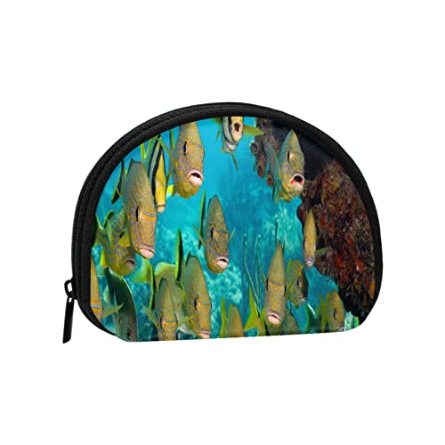 Tropical Fish Undersea, Geldbörse, Muschel-Make-up-Tasche, Damen-Aufbewahrungstasche, kleine Geldbörse, Muschel-Wechseltasche von losolese