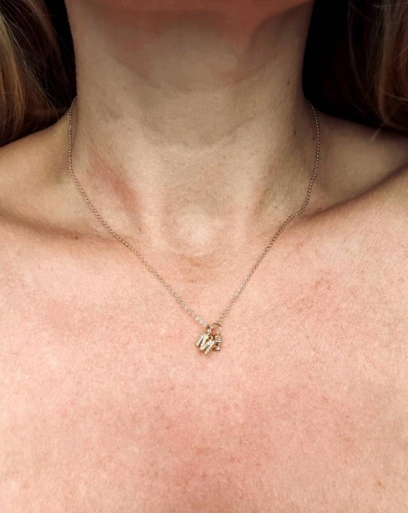 Zarte Mini-Buchstaben-Halskette Zirkonia Mit Mini Geburtssteinen Bzw. Herz-Charm - Gold|Silber Zarte Mini-Buchstaben-Halskette Zirkonia Mit Mini Geburtssteinen Bzw. Herz-Charm - Gold|Silber von lovebytani