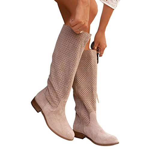 lozssnigzi Stiefel Damen Braun Boots mit Absatz Elegant Kniehohe Stiefel mit Reißverschluss Mode Stiefeletten Bequeme Wildleder Stiefel Winter Damenstiefel Schuhe Langschaftstiefel Hohe Stiefel von lozssnigzi