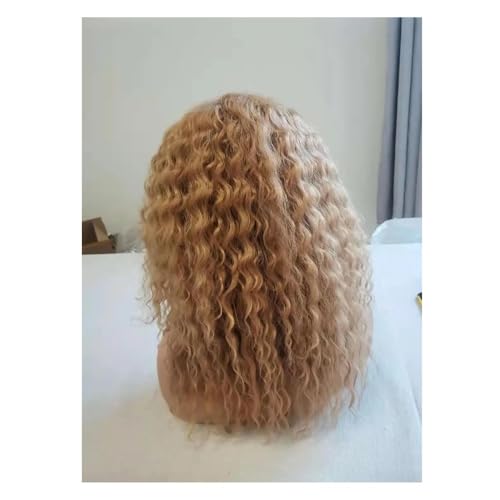 16 Zoll lockige synthetische Lace-Front-Perücke mit lockigen, gewellten Perücken for den täglichen Partygebrauch von Frauen Haar Extensions(Honey Blonde) von lskdnrufh