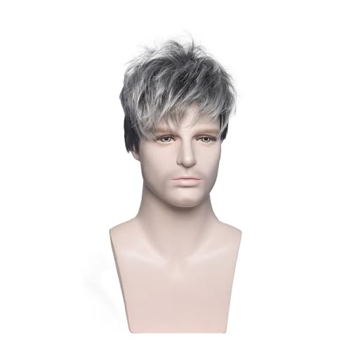 Kurze synthetische Perücke for Herren in Ombré-Grau, geschichtete synthetische hitzebeständige Perücken for den täglichen Gebrauch auf Partys Parrucca Kurze synthetische Perücke for Herren in Ombré-Grau, geschichtete synthetische hitzebeständige Perücken for den täglichen Gebrauch auf Partys Parrucca von lskdnrufh