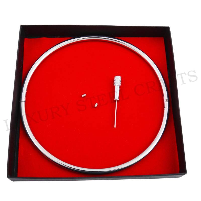 6 Mm Diskrete Petite Polierte Edelstahl-Verriegelung Eternity-Halsband von luxurySteelCrafts