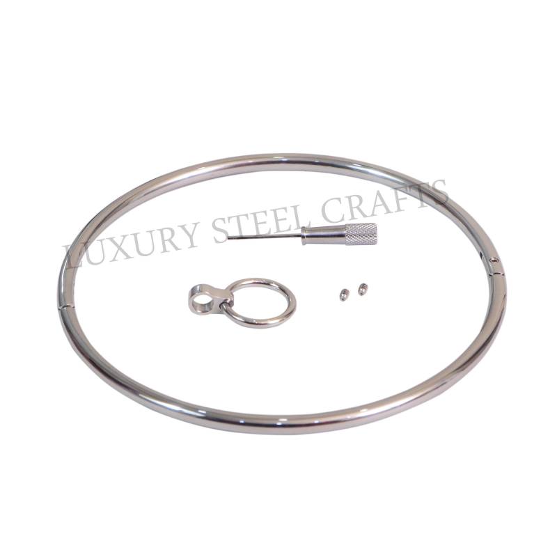 6 Mm Edelstahl Verschluss Eternity Halsband Mit Abnehmbaren Ring von luxurySteelCrafts